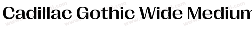 Cadillac Gothic Wide Medium字体转换
